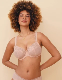 BH Clara Lace rose