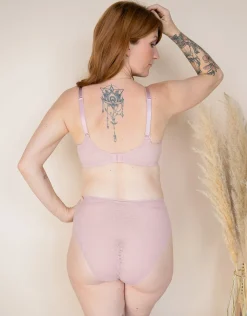BH True Lace rose