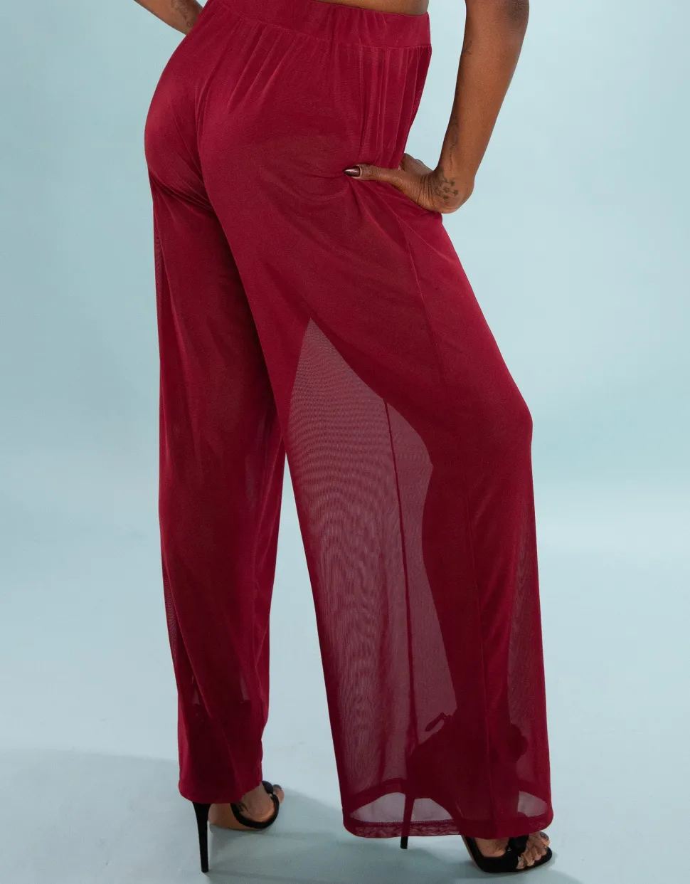 Hose Sheer transparent bordeaux
