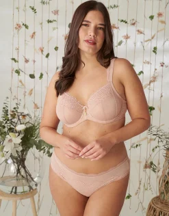 Panty Clara rose